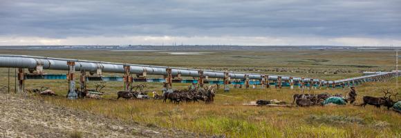 Gaz russe, la dernière route des Nenets