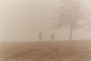 Le grand paysage d'Alexis Droeven