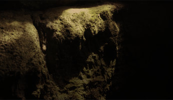 Herbes hautes, chemins bas