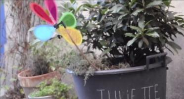 Histoire d'un pot de fleur
