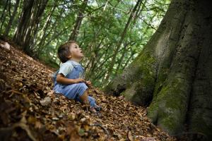 Ma forêt