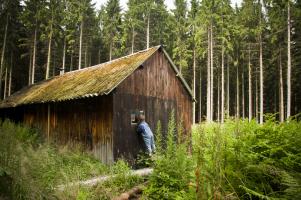 Ma forêt