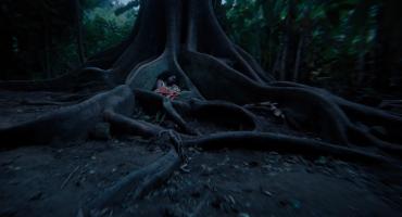 Muganga - Celui qui soigne