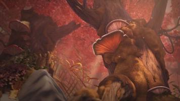 Mush-Mush: Retour à la forêt