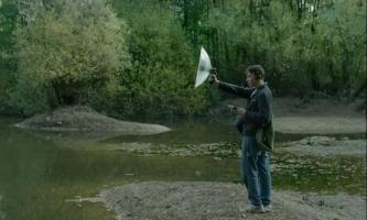 Oiseau de passage