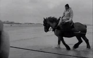 Pêcheurs à cheval