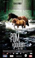 Pom le poulain