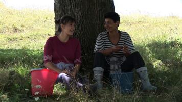 Stam. Nous restons là