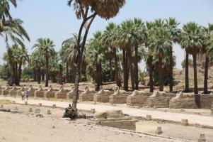 La Stèle de la tempête, révélations sur l'exode et les Plaies d'Egypte