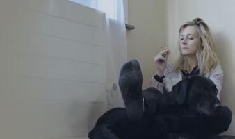 Les Toqués de l'amour