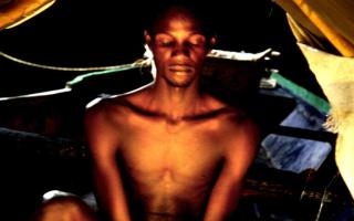 Les Tremblements lointains