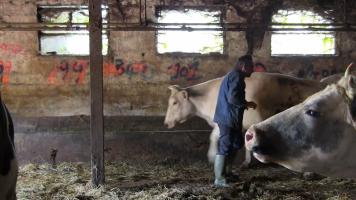 Une ferme entre chien et loup