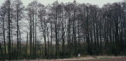 Le Voyage de Ghosty et grand-mère Suzy