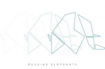 Rushing Elephants