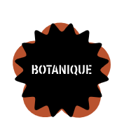 Centre culturel Le Botanique