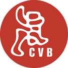 CVB - Centre Vidéo de Bruxelles