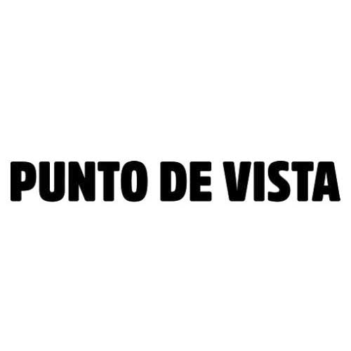 Punto de Vista / Festival Internacional de Cine Documental